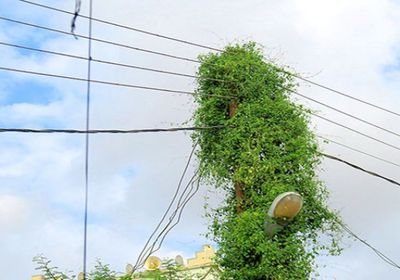 الرياح تدمر أعمدة كهربائية في ردفان