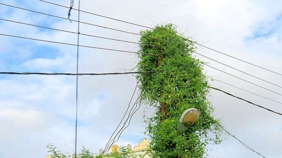 الرياح تدمر أعمدة كهربائية في ردفان