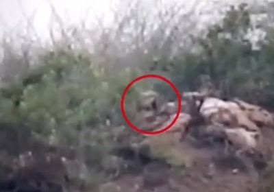 شاهد مصرع قناص حوثي في الساحل الغربي