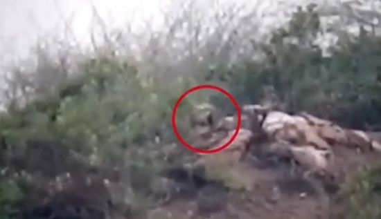 شاهد مصرع قناص حوثي في الساحل الغربي