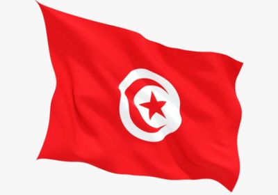  الحركة الديمقراطية التونسية: النهضة مسئولة عن شلل مؤسسات الدولة 