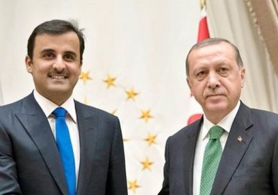 صحفي: تركيا تصنع الشر.. وقطر تموله وتروج له