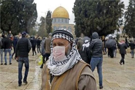 فلسطين تسجل 537 إصابة جديدة بكورونا و3 وفيات
