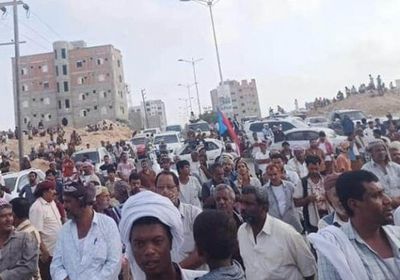 المهرة تهزم الإخوان.. مغردون يحتفون بفعاليات الغيضة