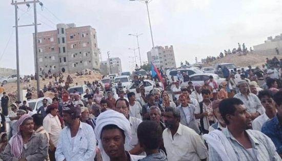 المهرة تهزم الإخوان.. مغردون يحتفون بفعاليات الغيضة