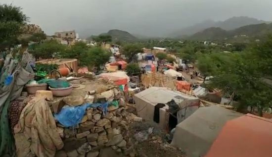 "النرويجي للاجئين": ربع أسر اليمن فقدت دخلها منذ تفشي كورونا