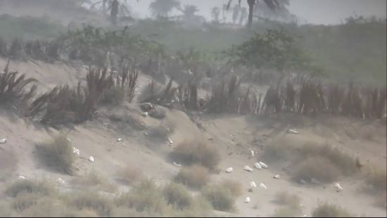 مقتل عناصر حوثية حاولت التسلل بالجاح