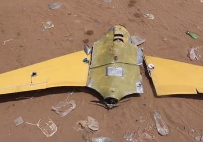 إسقاط طائرة مسيرة حوثية بالدريهمي (فيديو)