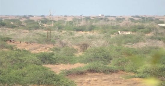 تحييد متسللين حوثيين بمزارع الحسينية في الجاح (فيديو)