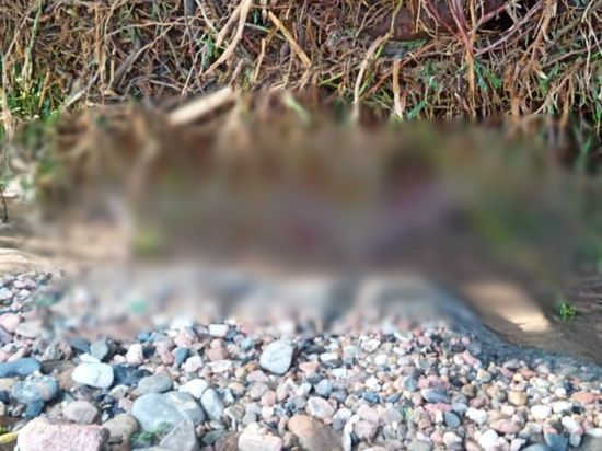 العثور على جثة الجندي غريق وادي أحور