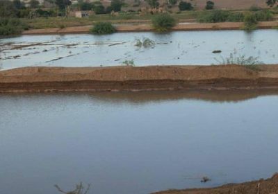 مياه الأمطار تنتشل أراضي لحج من التصحر