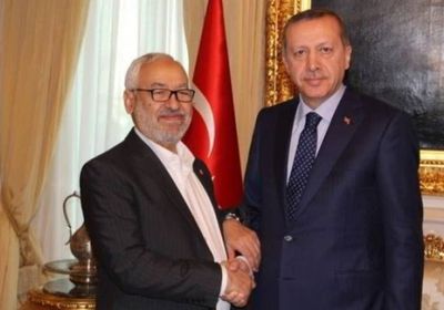 برلماني مصري يسخر من علاقة أردوغان بالغنوشي