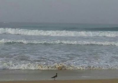 لاضطراب الموج.. تحذيرات من الإبحار بسواحل حضرموت