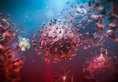 تعز تسجل 7 حالات كورونا جديدة