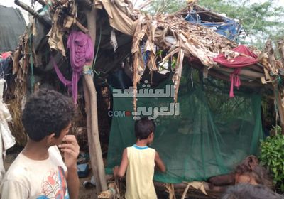 تضرر 339 أسرة نازحة في أبين من السيول