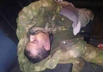 رفض مستشفى استقباله.. نبتة قات تتسبب بوفاة شاب