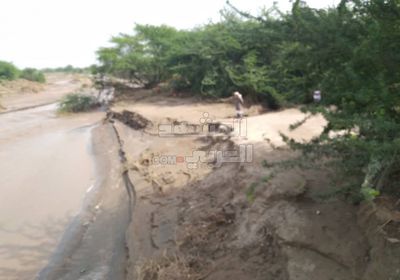 منها تصفية القنوات وإعادة العقم.. مطالب عاجلة لمزارعي أبين