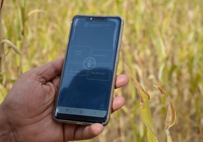 حفاظًا على المحاصيل.. فاو تزود المُزارعين بتقنيات حديثة