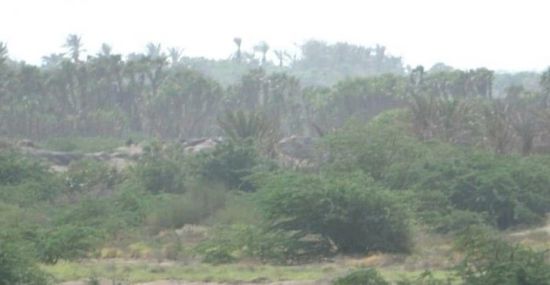 قتلى حوثيين بمحاولة تسلل فاشلة في بيت الفقيه