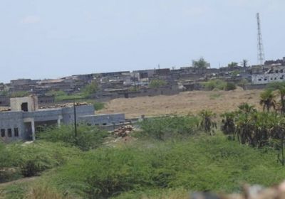 هجمات حوثية تستهدف المزارع في الدريهمي