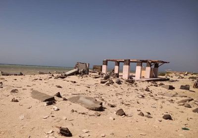 "فاو": الإنزال السمكي في تعز يُحسن دخل الصيادين المحليين