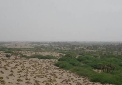 مليشيا الحوثي تشن هجومًا عشوائيًا على التحيتا