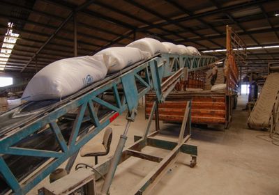 الغذاء العالمي يوزع آلاف الأطنان من الأرز بالمحافظات