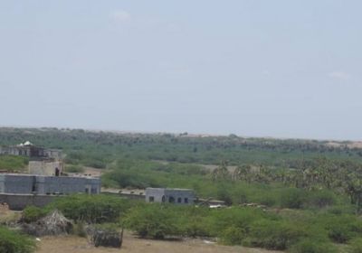 مليشيا الحوثي تفتح النار على مزارع الدريهمي