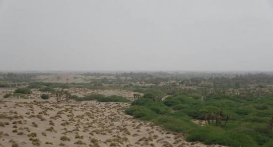 اعتداءات حوثية على الجبلية والفازة بالتحيتا