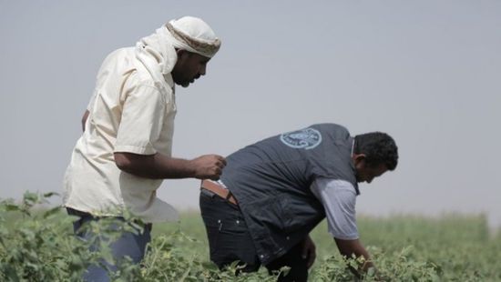 فاو: جهودنا متواصلة لتزويد السكان بالغذاء الصحي