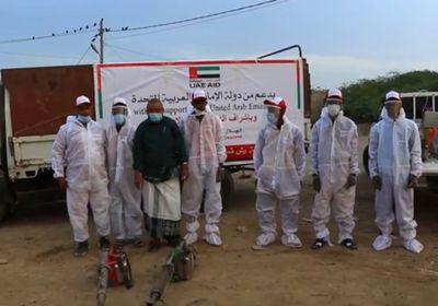 حملة إماراتية لمحاصرة الحشرات الناقلة للأمراض بالمخا (فيديو)