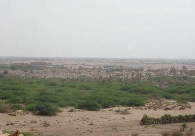 هجمات حوثية عشوائية على سكان الجبلية