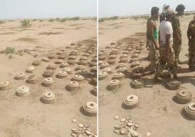 شاهد.. اكتشاف 65 لغمًا حوثيًا في مزرعة بالدريهمي