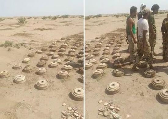 شاهد.. اكتشاف 65 لغمًا حوثيًا في مزرعة بالدريهمي
