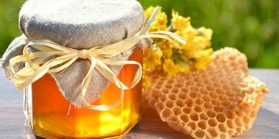  دراسة بريطانية.. عسل النحل علاج سحري لـ"التهاب الجهاز التنفسي"‏