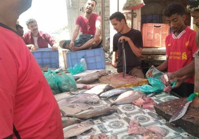 ارتفاع أسعار الأسماك في ردفان