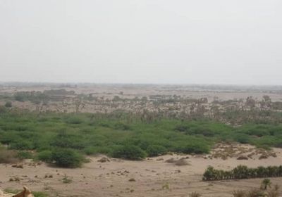 خسائر فادحة لمليشيا الحوثي بمختلف جبهات الحديدة