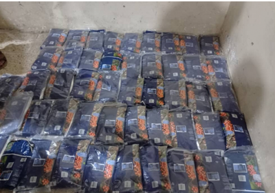 ضبط 48 كيلو حشيش في دوفس بأبين قبل تهريبها لعدن (صور)