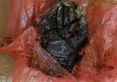 ضبط 3 مهربين في عسد الفاي بساحل حضرموت