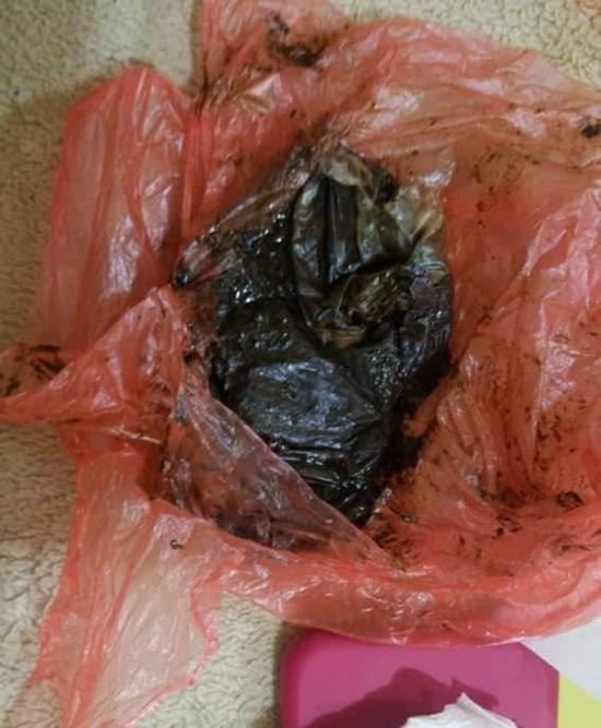 ضبط 3 مهربين في عسد الفاي بساحل حضرموت