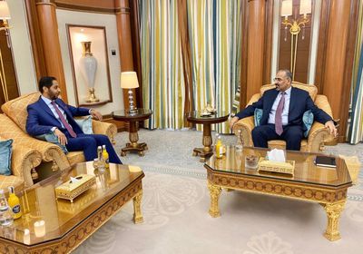 جيبوتي تعرب عن دعمها المطلق لاتفاق الرياض