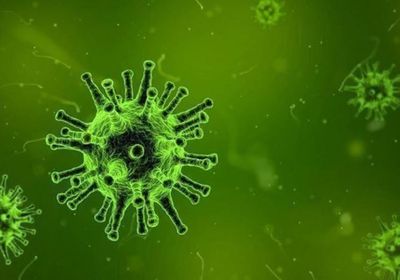 حالتان جديدتان بكورونا في ساحل حضرموت