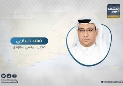 ديباجي: نقل الصراع للجنوب خطة إيرانية تركية قطرية محكمة