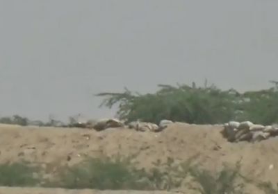 شاهد.. تدمير مخبأ قناص حوثي في حيس