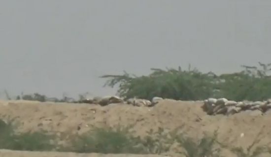 شاهد.. تدمير مخبأ قناص حوثي في حيس