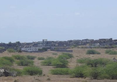 احتراق محاصيل زراعية في هجوم حوثي بالدريهمي