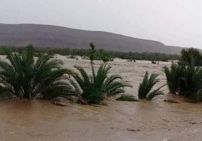 تنفيذ مشروعات بقطاعات الطرق والمياه والجسور بحضرموت