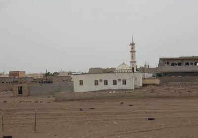 ضربات حوثية مدفعية تستهدف مناطق سكنية بالتحيتا