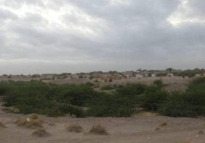 مدفعية الحوثي تواصل ضرباتها الوحشية للجبلية