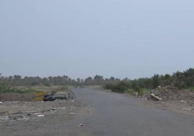 اعتداءات لمليشيا الحوثي على الفازة والجبلية